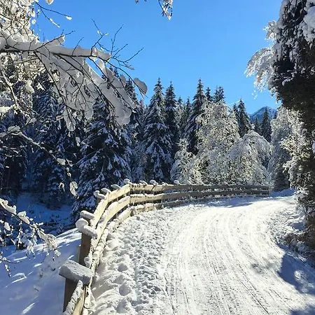 Riedz Innsbruck- Zentrales Apartmenthaus Mit Gruener Oase Apartamento Innsbruck