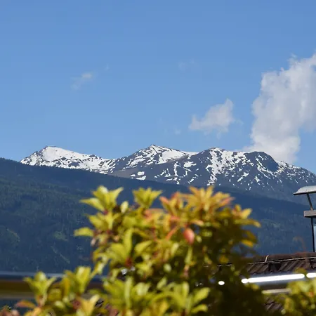 Riedz Innsbruck- Zentrales Apartmenthaus Mit Gruener Oase *