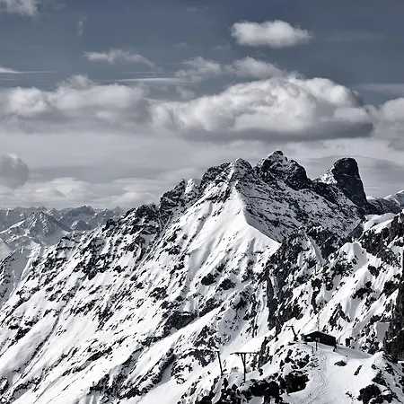 Riedz Innsbruck- Zentrales Apartmenthaus Mit Gruener Oase Apartment