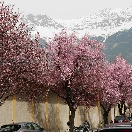 Riedz Innsbruck- Zentrales Apartmenthaus Mit Gruener Oase * 因斯布鲁克