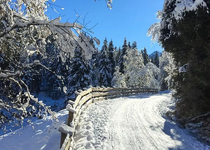 Riedz Innsbruck- Zentrales Apartmenthaus Mit Gruener Oase Апартаменти Інсбрук