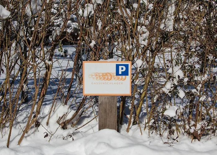 Riedz Innsbruck- Zentrales Apartmenthaus Mit Gruener Oase Apartament *