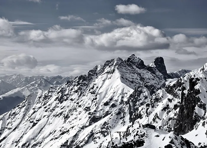 Riedz Innsbruck- Zentrales Apartmenthaus Mit Gruener Oase 公寓