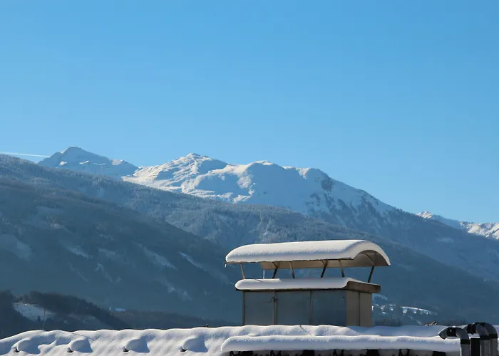 Riedz Innsbruck- Zentrales Apartmenthaus Mit Gruener Oase * 因斯布鲁克