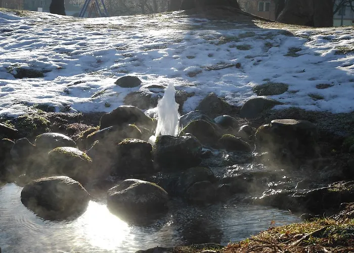 Riedz Innsbruck- Zentrales Apartmenthaus Mit Gruener Oase 因斯布鲁克