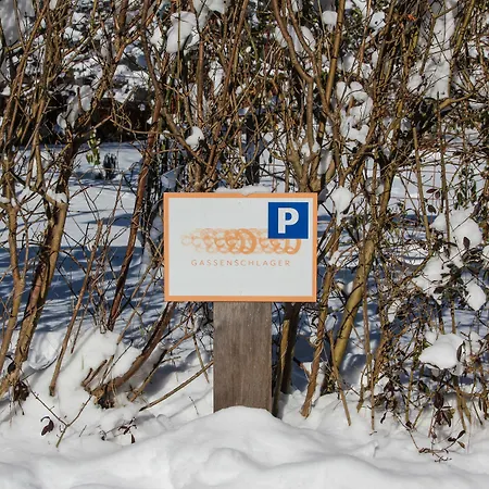 Riedz Innsbruck- Zentrales Apartmenthaus Mit Gruener Oase アパート *