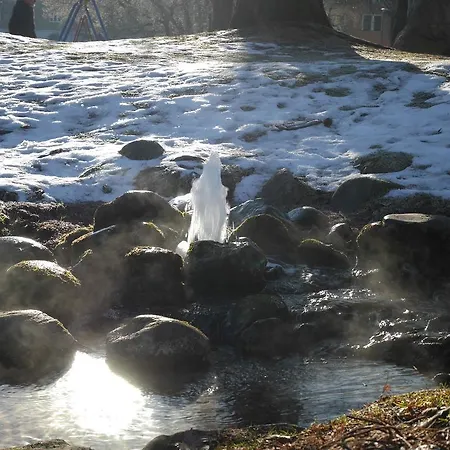 Riedz Innsbruck- Zentrales Apartmenthaus Mit Gruener Oase インスブルック