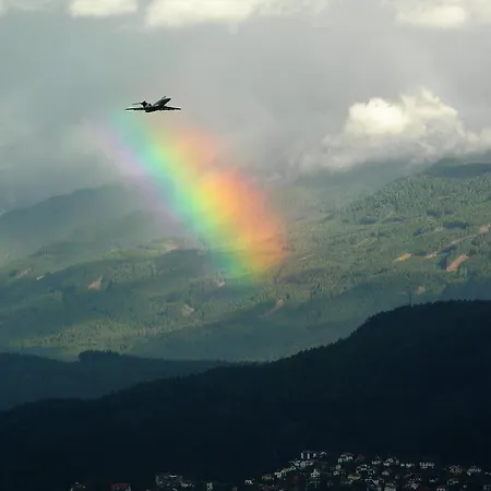 Riedz Innsbruck- Zentrales Apartmenthaus Mit Gruener Oase * インスブルック