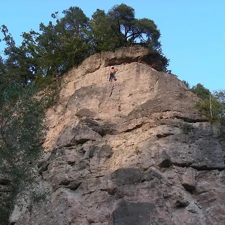 アパート Riedz Innsbruck- Zentrales Apartmenthaus Mit Gruener Oase *